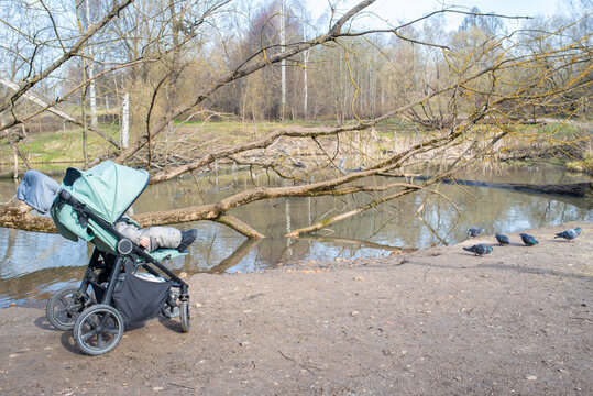 Baby in green stroller watching birds near pond in spring forest