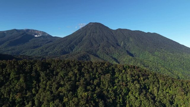 A panoramic view of qreen mountains with dense tropical forests stretching under a clear blue sky. Mount Gede Pangrango National Park, West Java.