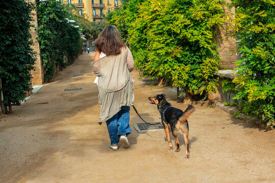 Woman walking dog on leash in urban park