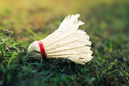 A white badminton shuttlecock with red band lies on green grass with blurry background