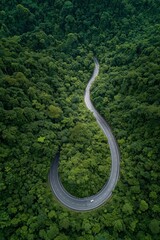 Obraz premium Curved highway in dense forest. Aerial view of a winding road forming a loop among dense green tropical vegetation, with only one car visible from above, a natural landscape and a travel theme.