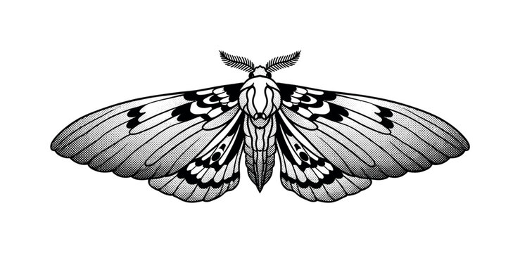 A pair of stylized moth wings detached and mirrored, creating an abstract ritual symbol, black and white halftone illustration, dense dot gradients, high