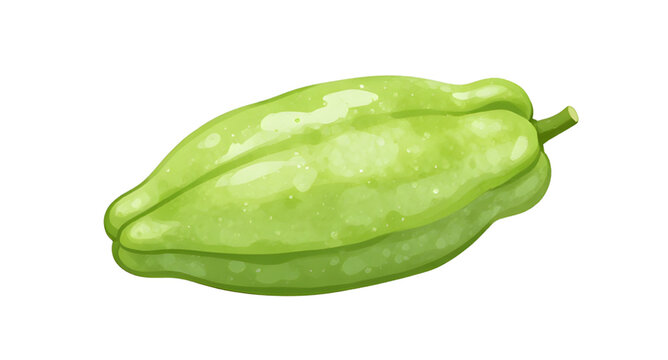 chayote, sechium, edule, vegetable, pear, green, fresh, food, organic, healthy, farm, ingredient, natural, vegan, isolated, white, simple
