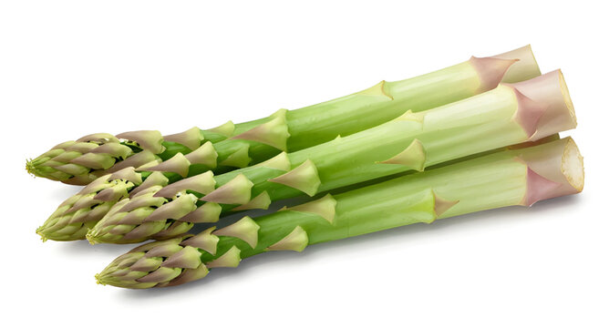 fresh green asparagus, asparagus spears isolated, organic vegetable produce, healthy farm vegetable, natural food ingredient, green asparagus stalks, vegan cooking ingredient, fresh market produce, wh