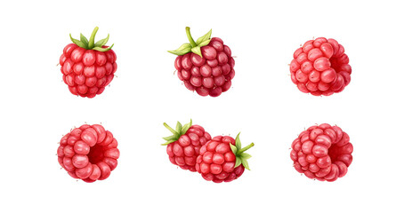 fresh red raspberries, raspberry fruit isolated, berries with leaves, organic raspberry bunch, healthy fruit snack, juicy red berries, farm fresh raspberries, natural sweet fruit, ripe berry cluster,  © mrpixel