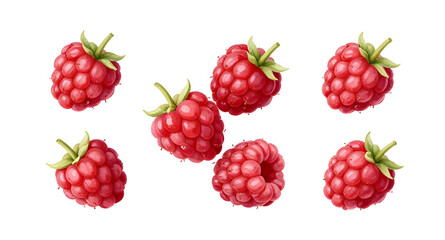 fresh red raspberries, raspberry fruit isolated, berries with leaves, organic raspberry bunch, healthy fruit snack, juicy red berries, farm fresh raspberries, natural sweet fruit, ripe berry cluster,  © mrpixel