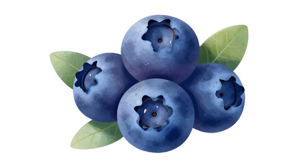 blueberries with leaves, fresh berry bunch, organic blueberry fruit, healthy fruit isolated, juicy blue berries, farm fresh blueberries, natural sweet fruit, antioxidant berry food, fresh fruit illust © mrpixel