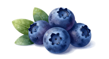 blueberries with leaves, fresh berry bunch, organic blueberry fruit, healthy fruit isolated, juicy blue berries, farm fresh blueberries, natural sweet fruit, antioxidant berry food, fresh fruit illust © mrpixel
