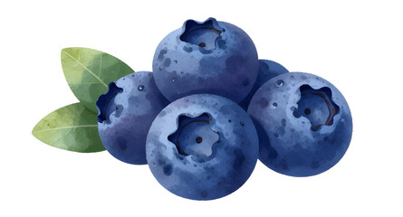 blueberries with leaves, fresh berry bunch, organic blueberry fruit, healthy fruit isolated, juicy blue berries, farm fresh blueberries, natural sweet fruit, antioxidant berry food, fresh fruit illust © mrpixel