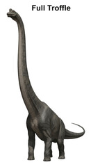Obraz premium Majestic Brachiosaurus Dinosaur Standing Tall in Prehistoric Landscape