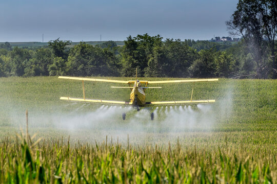 Yellow Crop Duster Sprays Fields Beneath Clear Sky