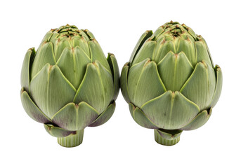 Fototapeta premium Fresh artichokes displayed side by side with their natural green and fuzzy appearance isolated on transparent background