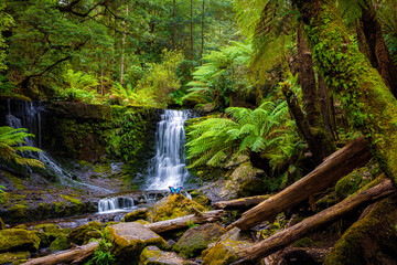 Magical waterfall in mystical forest © brianluke
