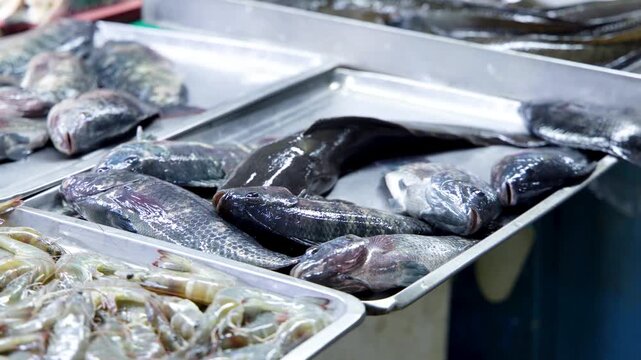 Fresh fish and shrimp displayed on metal trays at a busy market stall.