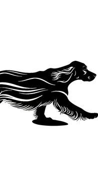 Black silhouette of a long-haired setter dog running gracefully Isolated on transparent background.