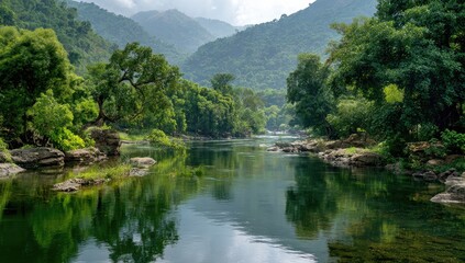 Obraz premium Serene river winding through lush green mountains