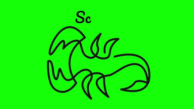 Scorpio Zodiac One Line Animation &ndash; Minimal Line Art Symbol Motion Graphic