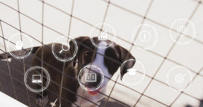 Peering small black-and-white dog looking through wire mesh pen on tiled floor, with UI icons