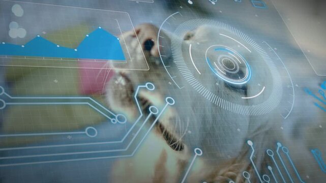 Dog head shifting upward, eye alignment activating HUD rotating and locking to track gaze