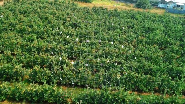 Aerial camera starting sweep mesh shifting expanding settling over orchard mapping greenhouse edge