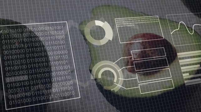 On load halved avocado hosting HUD overlays sliding, rings forming over pit visualizing data