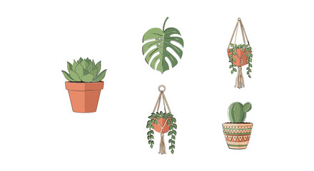 Fototapeta premium Set of cute hand drawn indoor potted houseplants and hanging succulents.