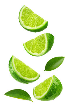 Collection of lime slices in water drops isolated on white background