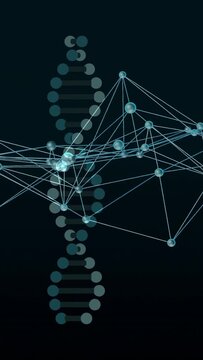 Vertical video: Dot column appearing, forming helix while node mesh drifting, illustrating links