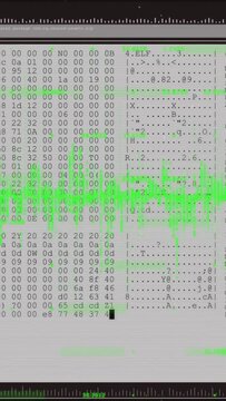Vertical video: On file load hex view shifting to dump, green wave pulsing, logs moving for debug