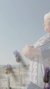Vertical video: Senior woman tilting up on coast, sequence causing purple flowers to grow, wellness