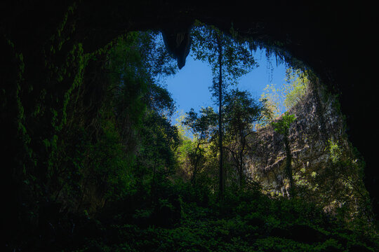 Goa Jomblang cave forest and jungle, Java, Indonesia