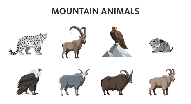 Mountain animals and wildlife creatures.