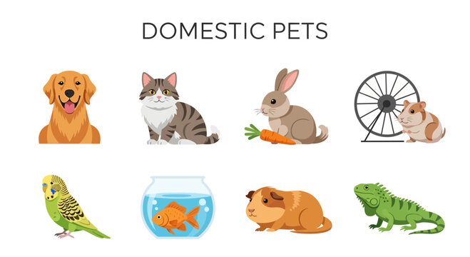 Variety of common household domestic pets.