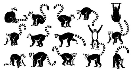 Lemur poses and movements sequence. © mesa