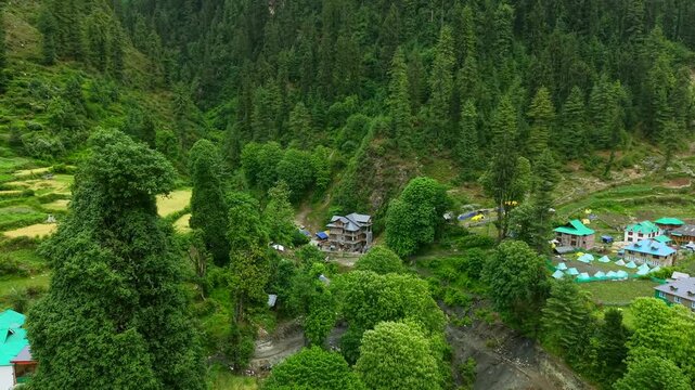 Aerial view of homes and huts amid dense green pine forest and mountain slopes Grahan village India, Himalayan mountains