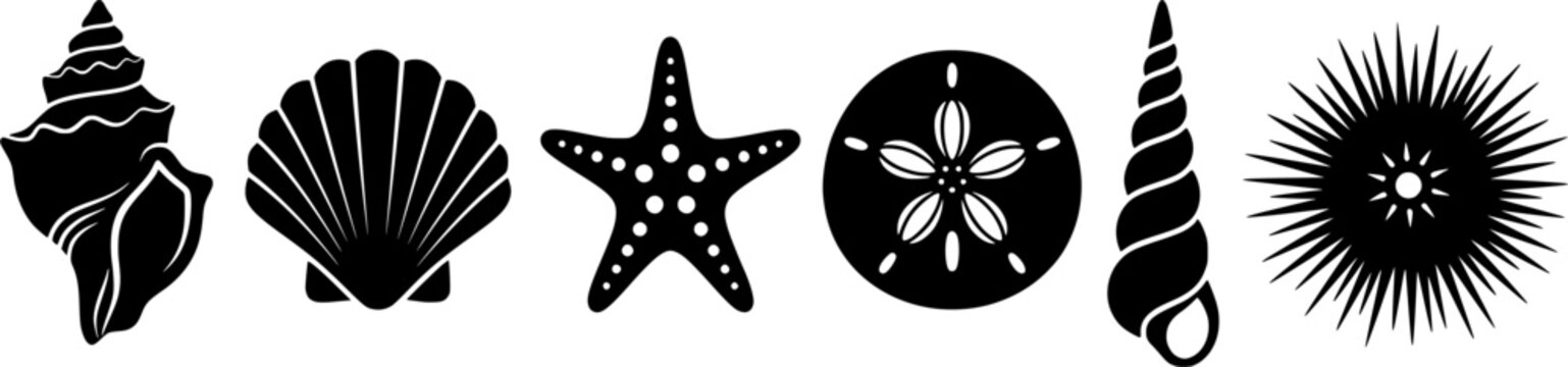 Stylized black seashells starfish and sand dollar icons for beach vacation designs and sea life symbols
