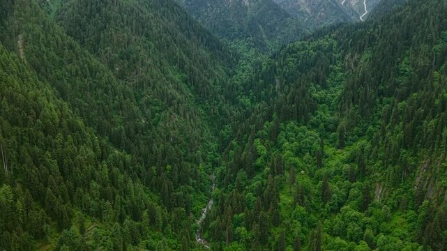 Aerial view of forest valley with river in Himachal Pradesh, India, Himalayan mountains