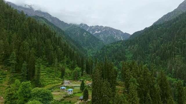 Small village among dense pine forest with snow-capped mountains in Grahan, Himachal Pradesh, India
