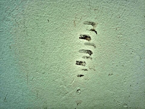 Black Scuff Marks on a Pale Green Concrete Wall