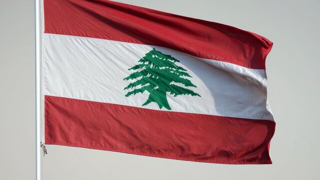 A white band flanked by red stripes, centered with a green cedar tree, symbolizing Lebanon&rsquo;s peace, immortality, resilience, and cultural heritage across centuries of national identity.