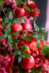 Obraz premium Pomegranates and flowers arranged together in a vibrant display indoors. Pomegranates and green leaves are part of a colorful floral arrangement in a bright setting.