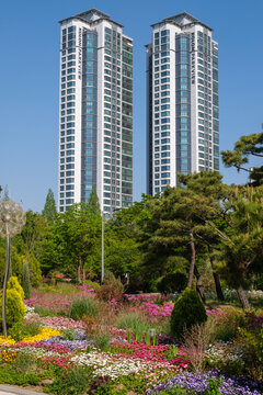 Supia Lake Botanical Garden, Sangdong Lake Park, Bucheon, Gyeonggi-do, South Korea