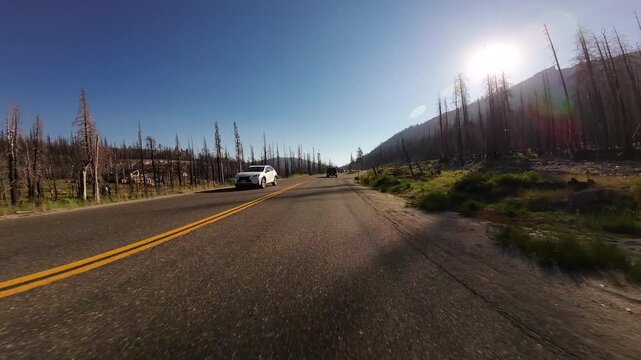 Lake Tahoe Echo Lake to Phillips Highway 04 Front View Driving Plates of 50 West California USA Ultra Wide