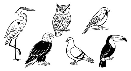 Obraz premium Set of different bird drawings with wildlife ornithology illustration collection background silhouette