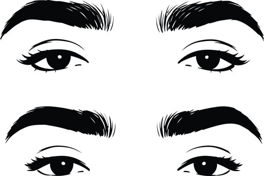 Eyebrow shape variations a vector graphic exploration of arch styles for beauty and cosmetic design concepts