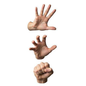 Sequential hand gestures from open palm to closed fist isolated on transparent background