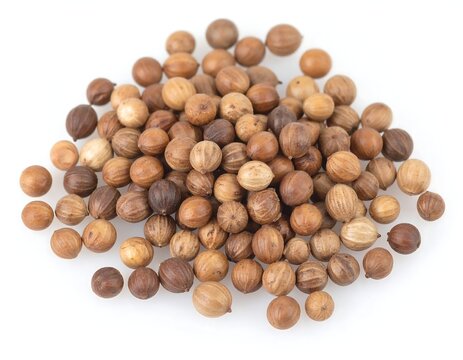 Ambrette Seed (Hibiscus abelmoschus)