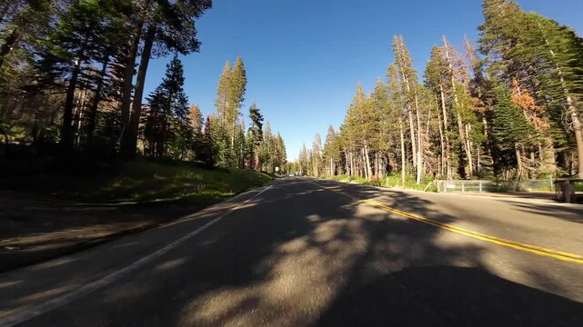 Lake Tahoe Echo Lake to Phillips Highway 04 Rear View Driving Plates of 50 West California USA Ultra Wide