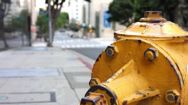 Fire Hydrant With City Street Beyond