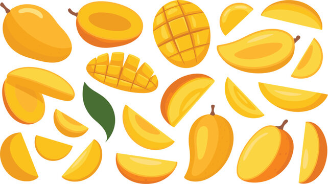 Mango fruit collection, sliced whole pieces juicy tropical food flat vector illustration set